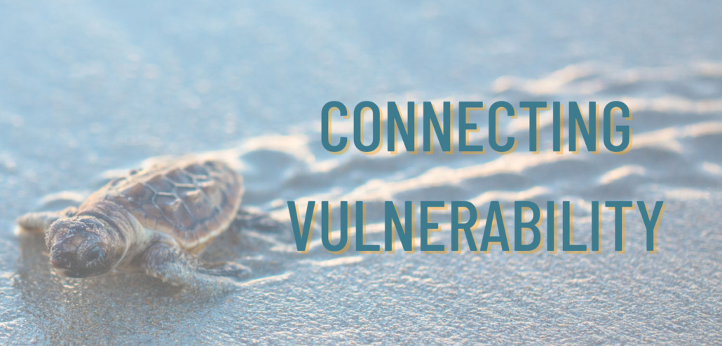 Ally Stone - Connecting Vulnerability